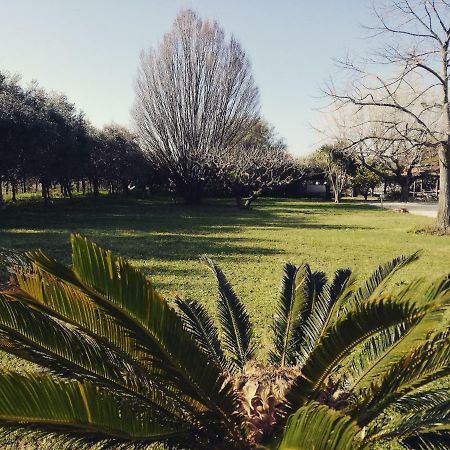 B&B Villa Napoli Battipaglia Εξωτερικό φωτογραφία