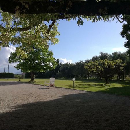 B&B Villa Napoli Battipaglia Εξωτερικό φωτογραφία