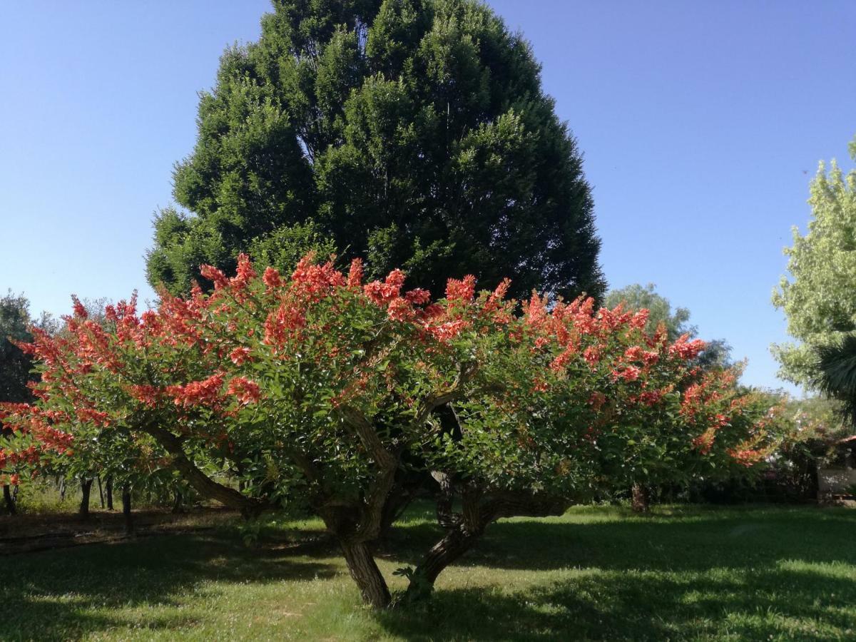 B&B Villa Napoli Battipaglia Εξωτερικό φωτογραφία