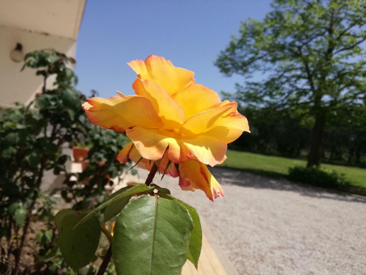 B&B Villa Napoli Battipaglia Εξωτερικό φωτογραφία