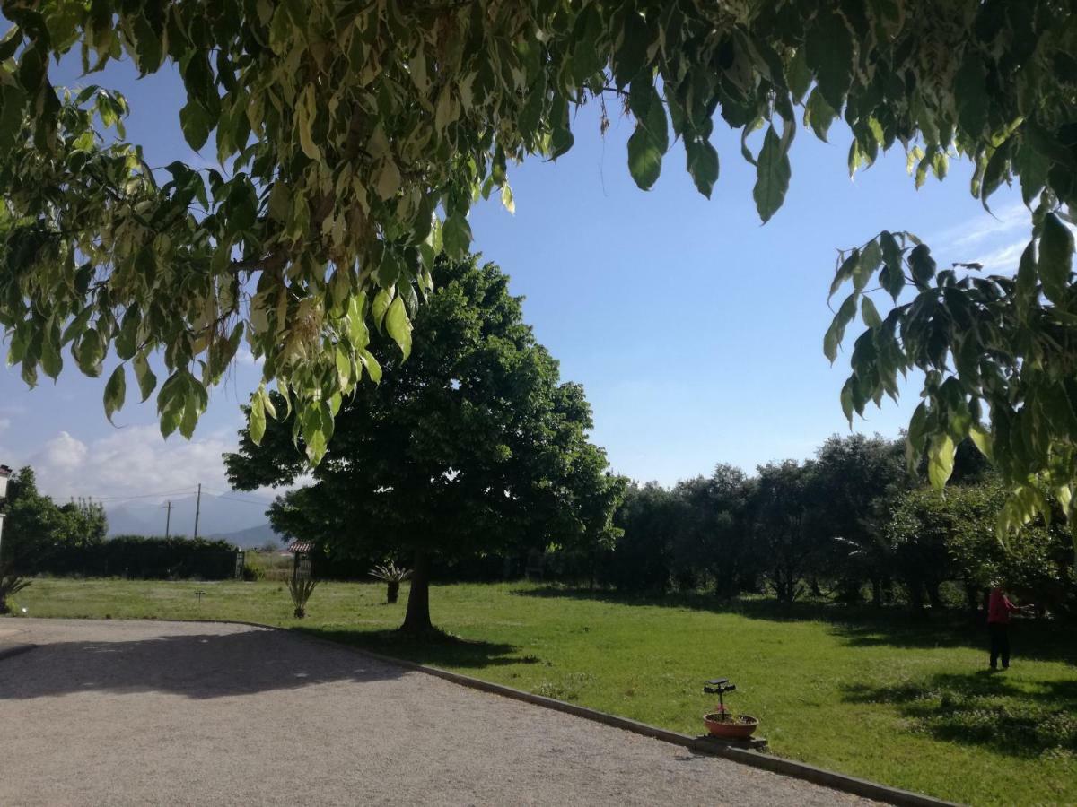 B&B Villa Napoli Battipaglia Εξωτερικό φωτογραφία