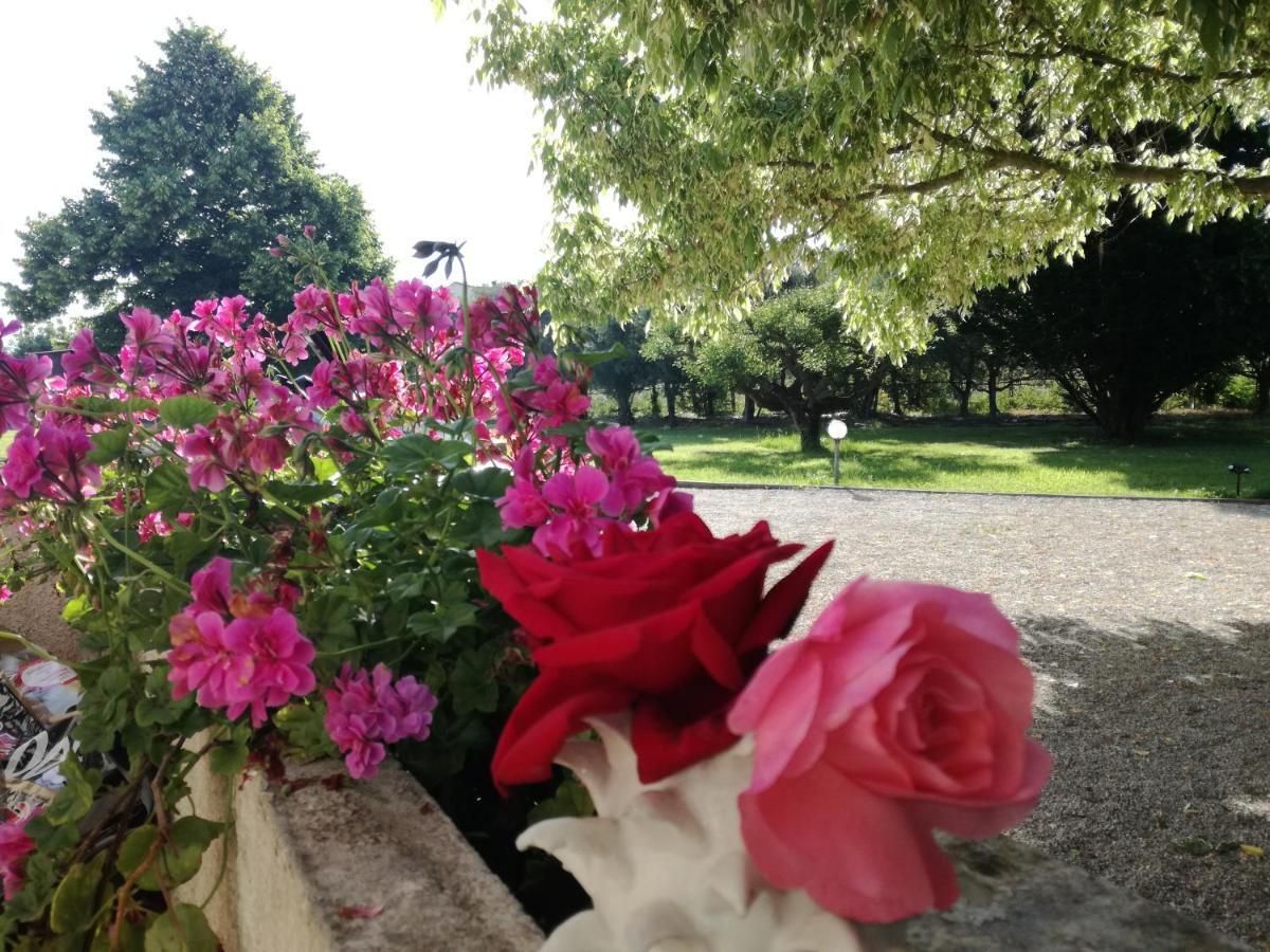 B&B Villa Napoli Battipaglia Εξωτερικό φωτογραφία