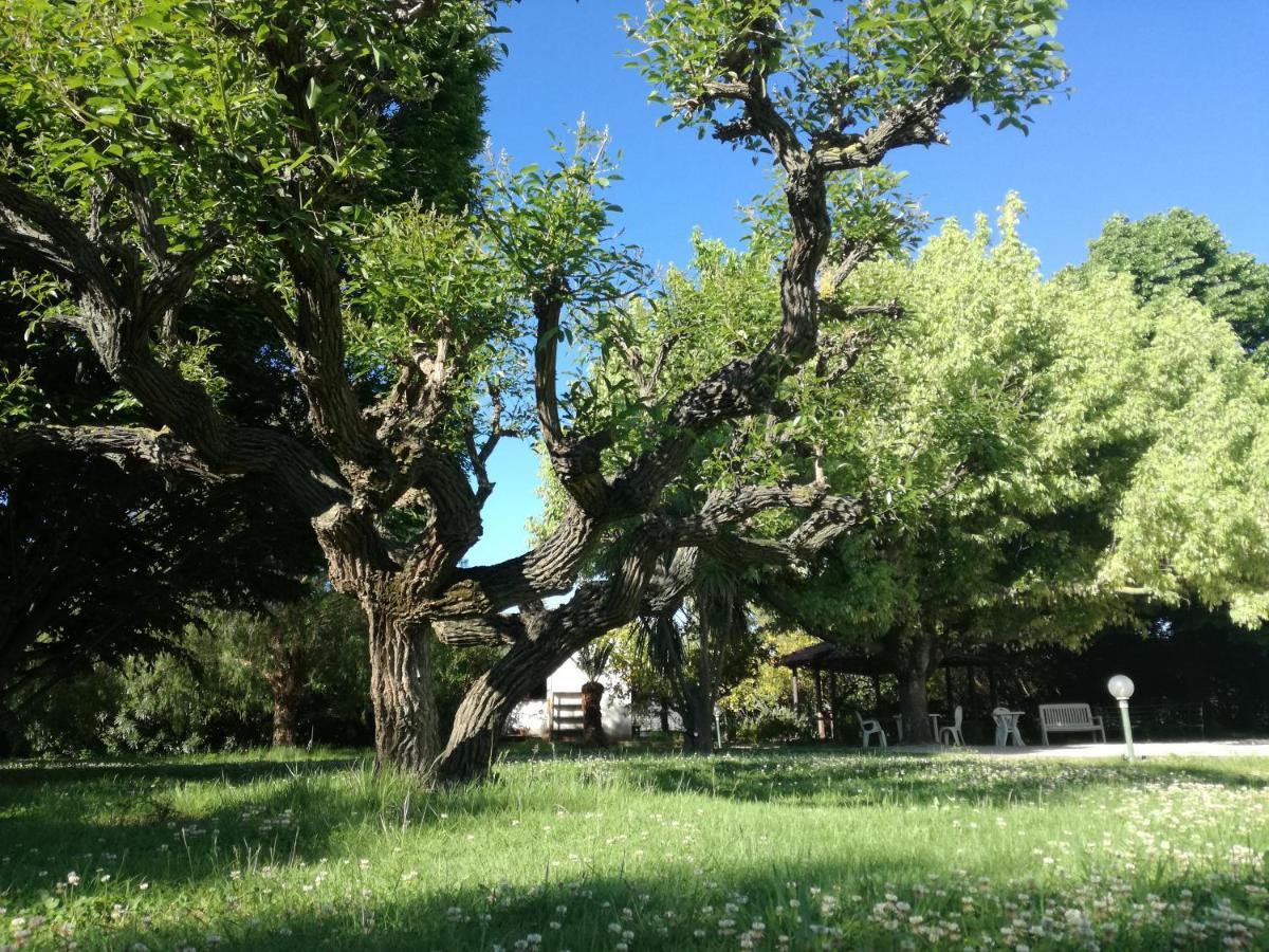 B&B Villa Napoli Battipaglia Εξωτερικό φωτογραφία